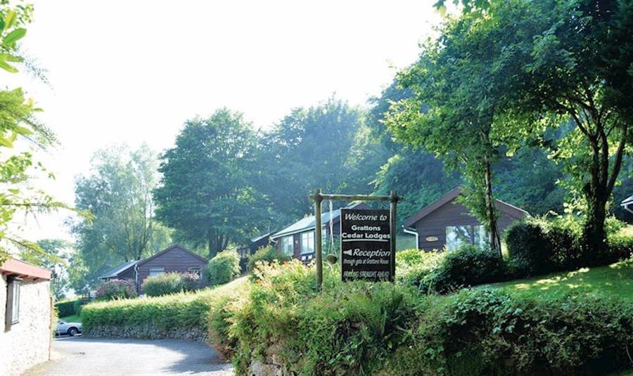 Grattons Cedar Lodges Devon Self catering holidays and