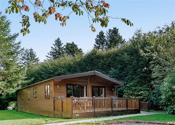 Haddon Classic Vogue 3 WF