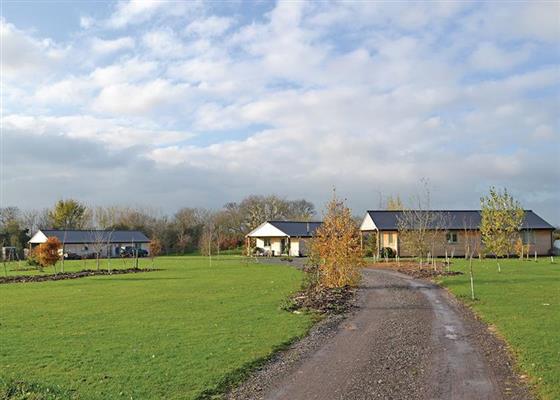 Hedgehog Lodge