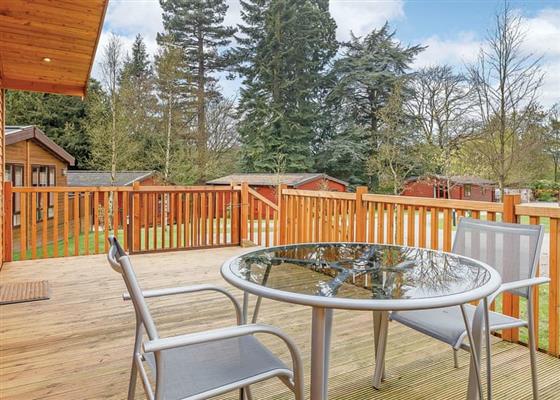 Kedleston Elite Vogue (S) 1 Spa