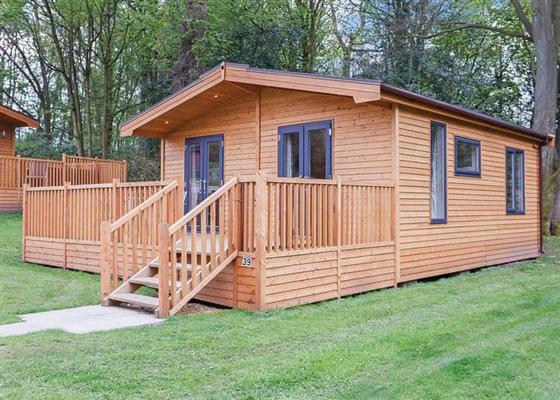 Kedleston Elite Vogue 1 (Pet)