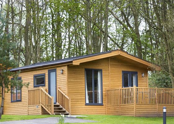 Kedleston Elite Vogue 1 Spa (Pet)