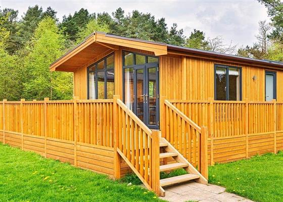 Kedleston Elite Vogue 2 Spa (Pet)