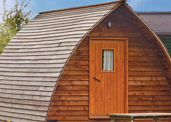 Luxury Woodland Pod VIP