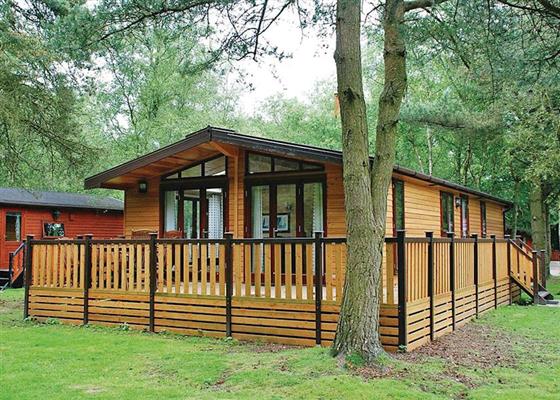 Darwin Forest Country Park - Matlock, Derbyshire | Self catering ...