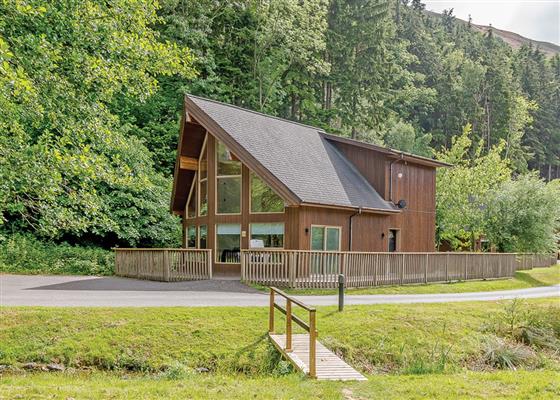 Saltspring Lodge Log Burner