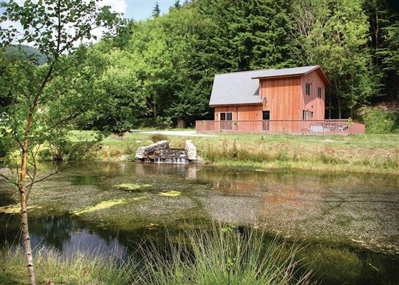 Saltspring Lodge VIP