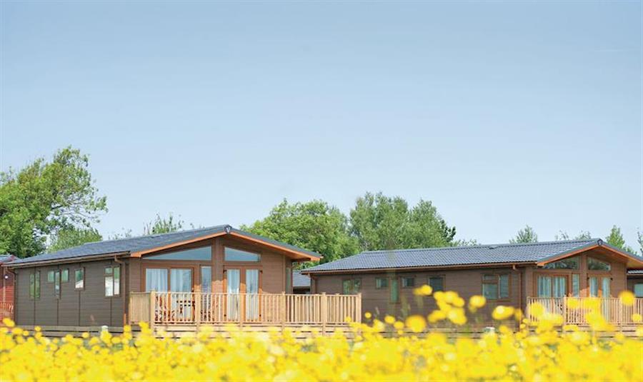 Sandy Meadows BurnhamonSea, Somerset Self catering holidays and