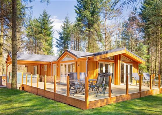 Spinney Exclusive 3 Spa