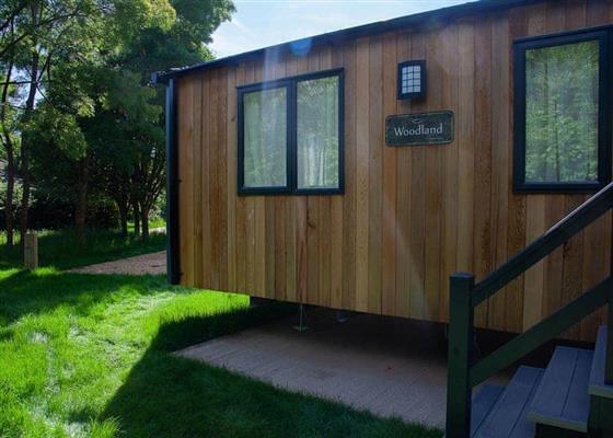 Superior Caravan 8 Pet