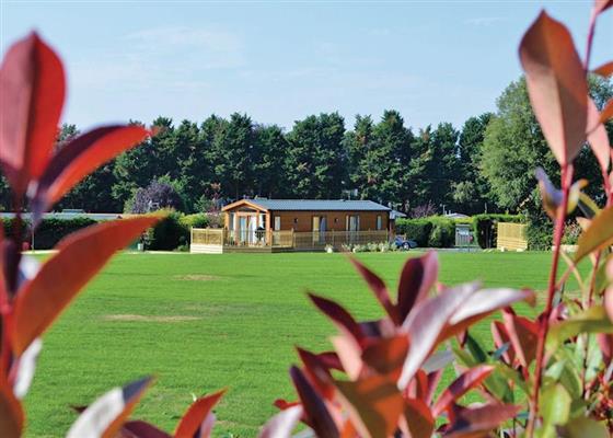 Superior Country Lodge Four