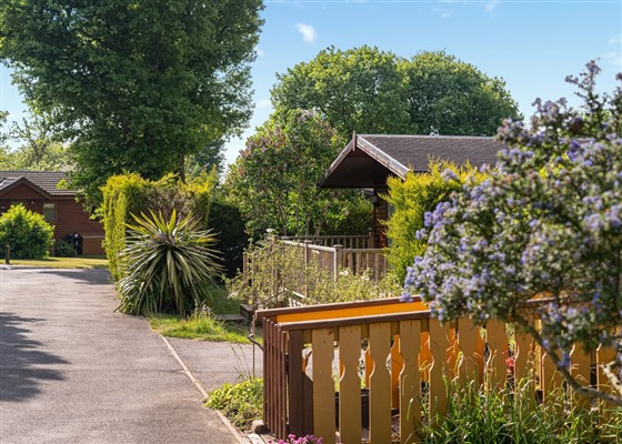 Superior Holiday Home 6 (Pet)