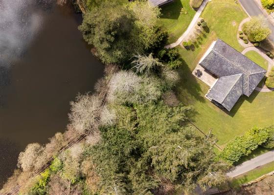 The Allensford (Pet)