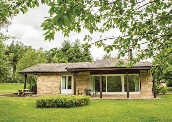The Allensford