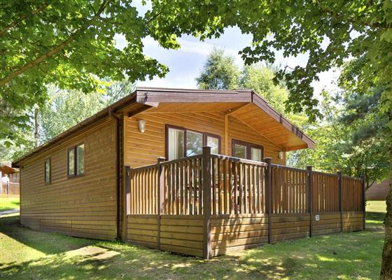 Tissington Classic Vogue 2