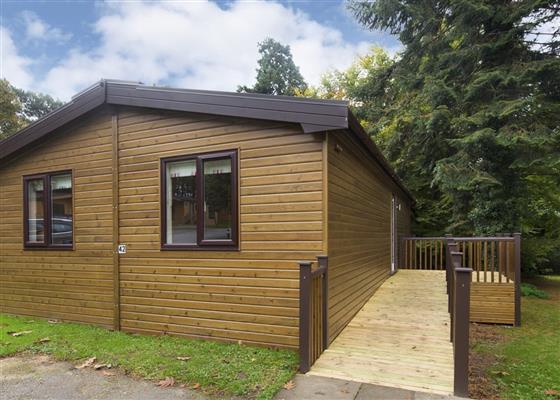 Tissington Classic Vogue 2 WF