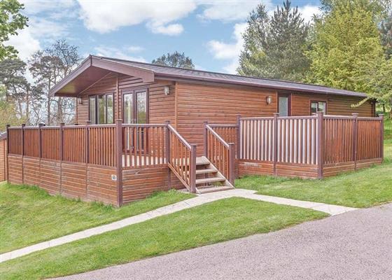 Tissington Classic Vogue 3 Spa (Pet)