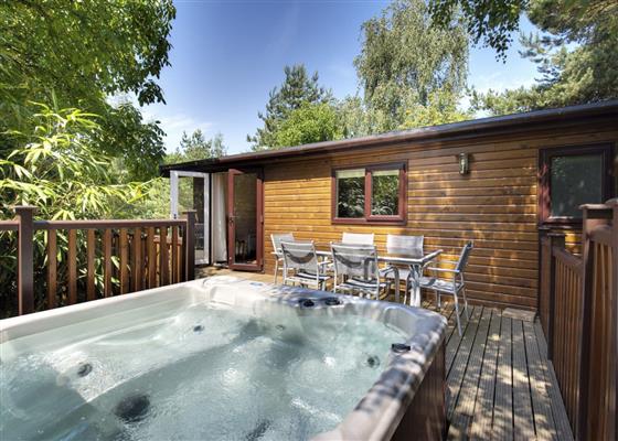 Tissington Classic Vogue 3 Spa (Pet)