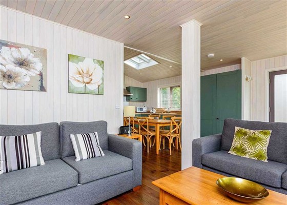 Vista Lodge with Hot Tub 4-6 Pet