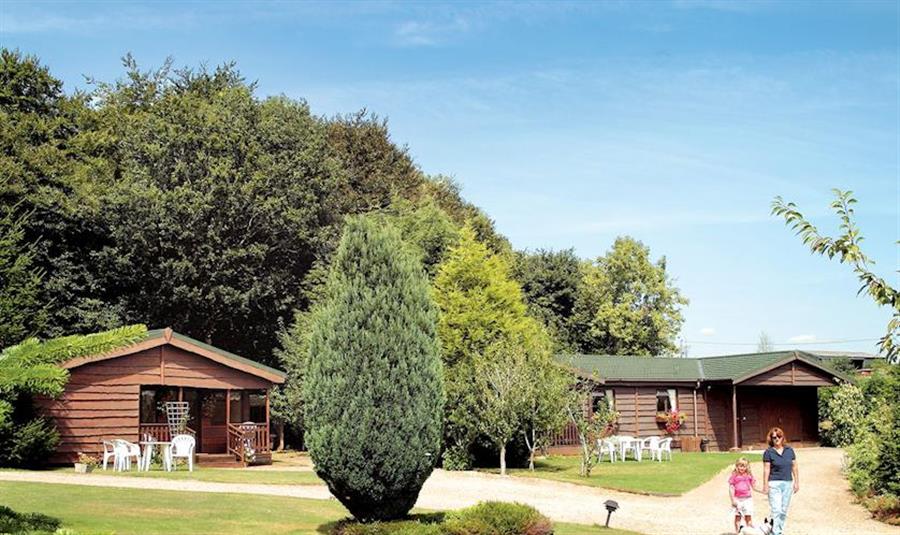 Wayside Lodges Chippenham, Wiltshire Self catering holidays and
