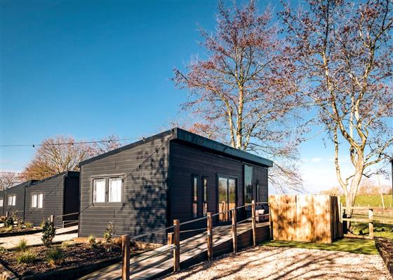 Whitehorse 41